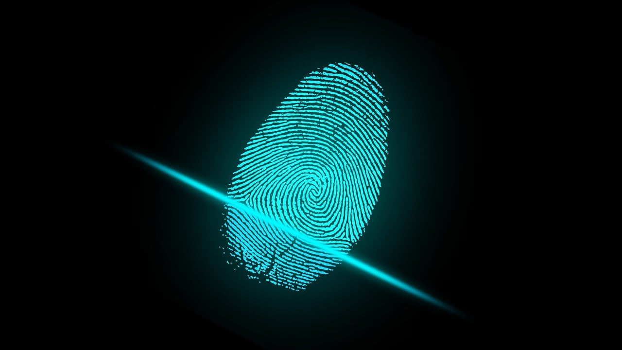 finger-fingerprint-security-2081169 finger, fingerprint, security-2081169.jpg