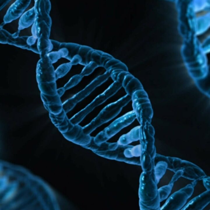 dna, biology, medicine-163466.jpg